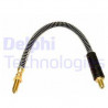 Flexible de frein DELPHI