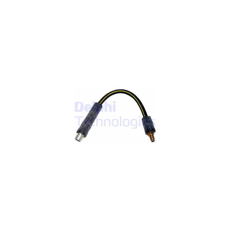 Flexible de frein DELPHI