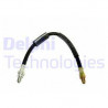 Flexible de frein DELPHI