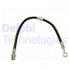 Flexible de frein DELPHI