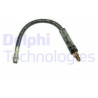 Flexible de frein DELPHI