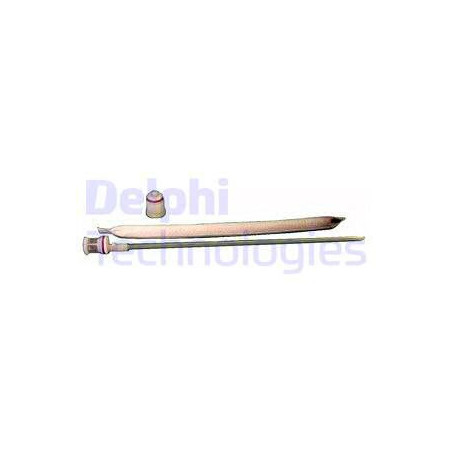 Bouteille déshydratante DELPHI