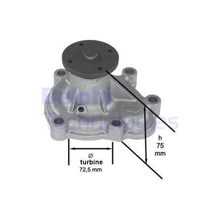 Pompe à eau DELPHI