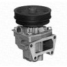 Pompe à eau MAGNETI MARELLI