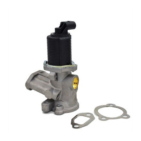 Vanne EGR / AGR MAGNETI...