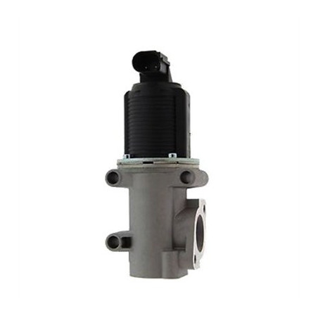 Vanne EGR / AGR MAGNETI...