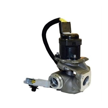 Vanne EGR / AGR MAGNETI...