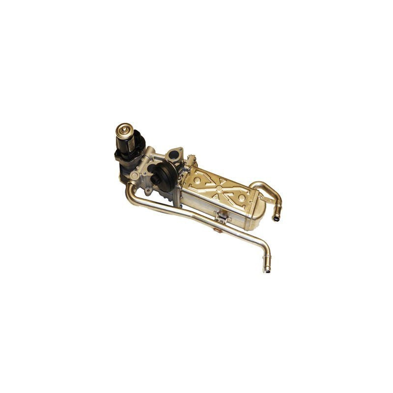 Vanne EGR / AGR MAGNETI MARELLI