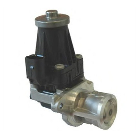 Vanne EGR / AGR MAGNETI...