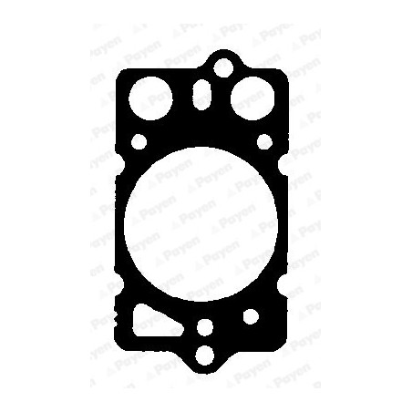 Joint de culasse PAYEN