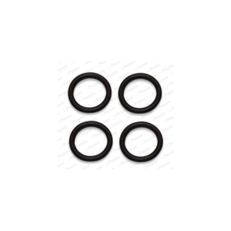 Jeu de joints d'étanchéité (collecteur d'admission) PAYEN