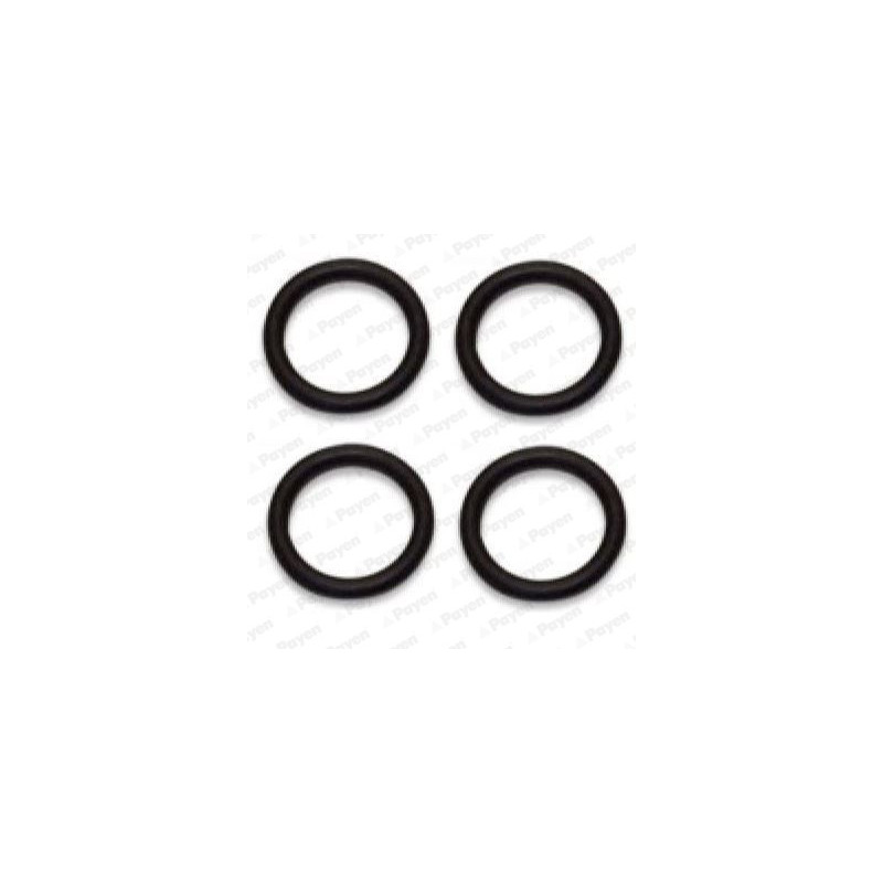 Jeu de joints d'étanchéité (collecteur d'admission) PAYEN