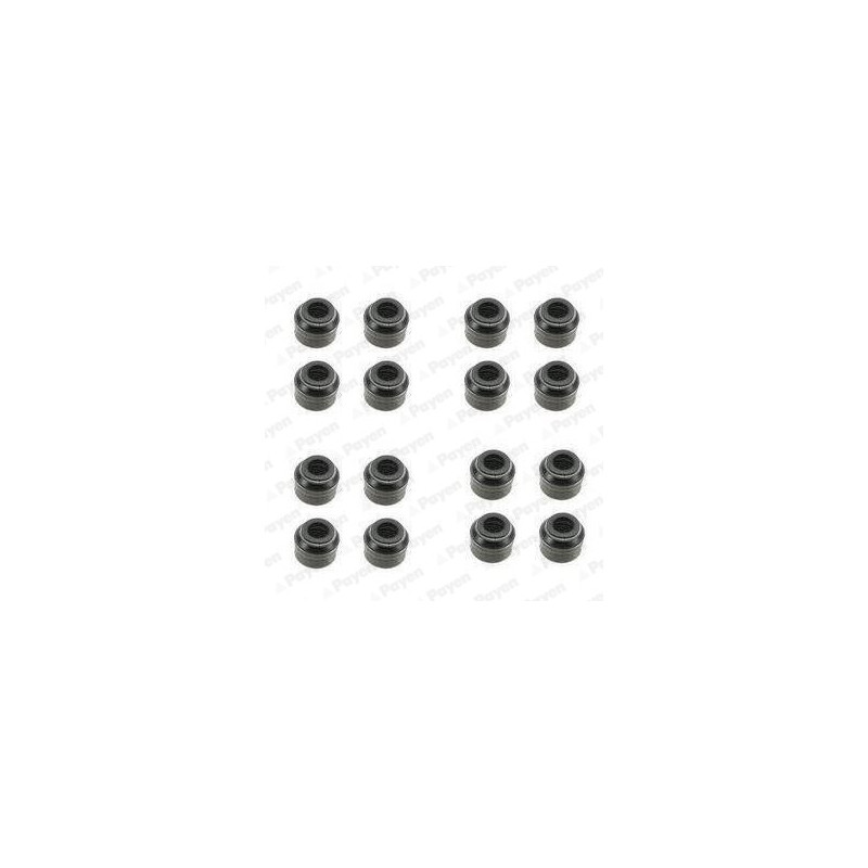 Jeu de joints d'étanchéité (tige de soupape) PAYEN