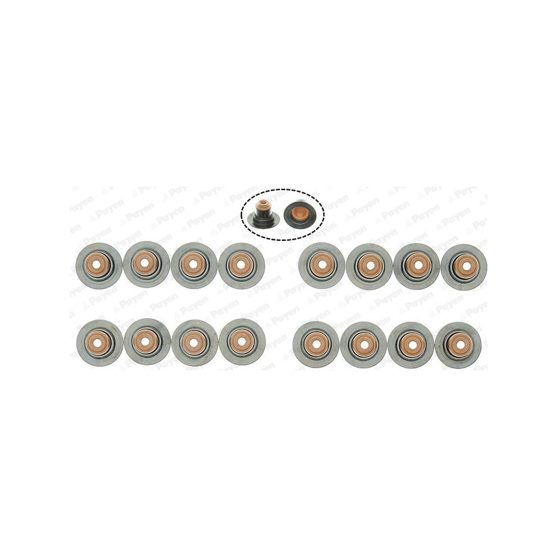 Jeu de joints d'étanchéité (tige de soupape) PAYEN