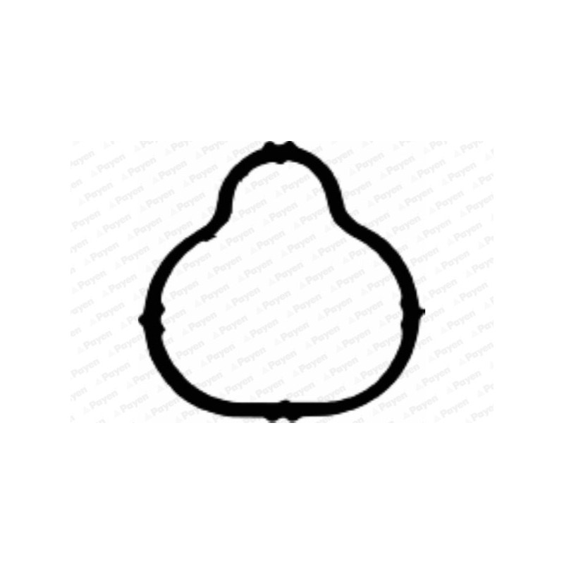 Joint d'étanchéité (collecteur d'admission) PAYEN