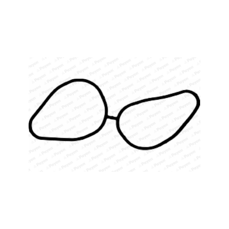 Joint d'étanchéité (collecteur d'admission) PAYEN