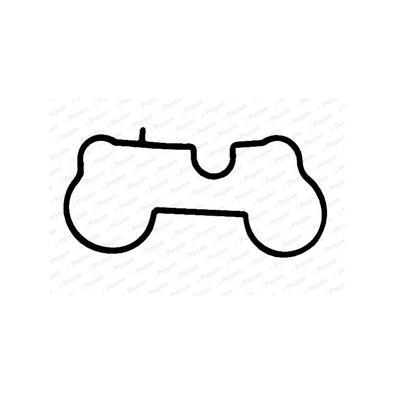 Joint d'étanchéité (collecteur d'admission) PAYEN