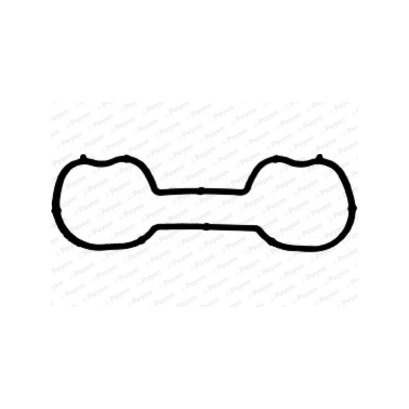 Joint d'étanchéité (collecteur d'admission) PAYEN
