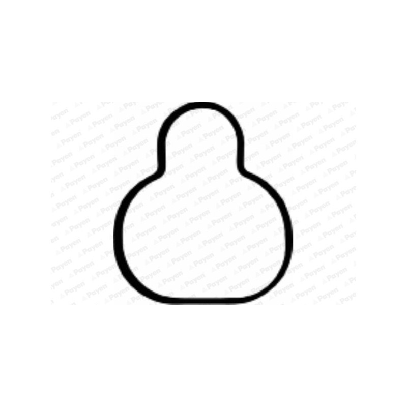 Joint d'étanchéité (collecteur d'admission) PAYEN