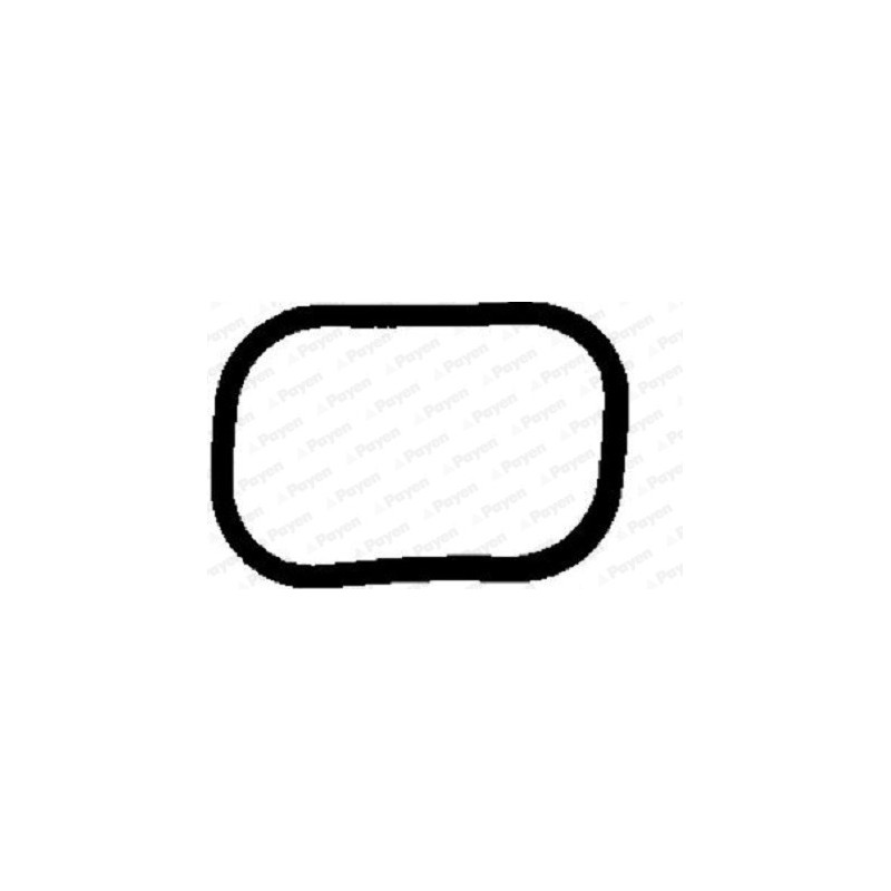 Joint d'étanchéité (collecteur d'admission) PAYEN