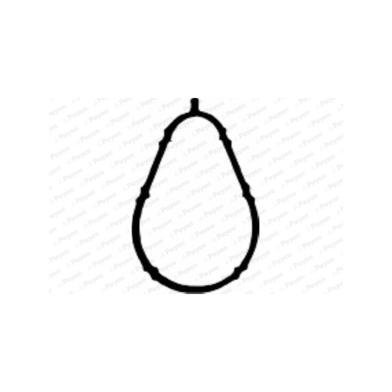 Joint d'étanchéité (collecteur d'admission) PAYEN