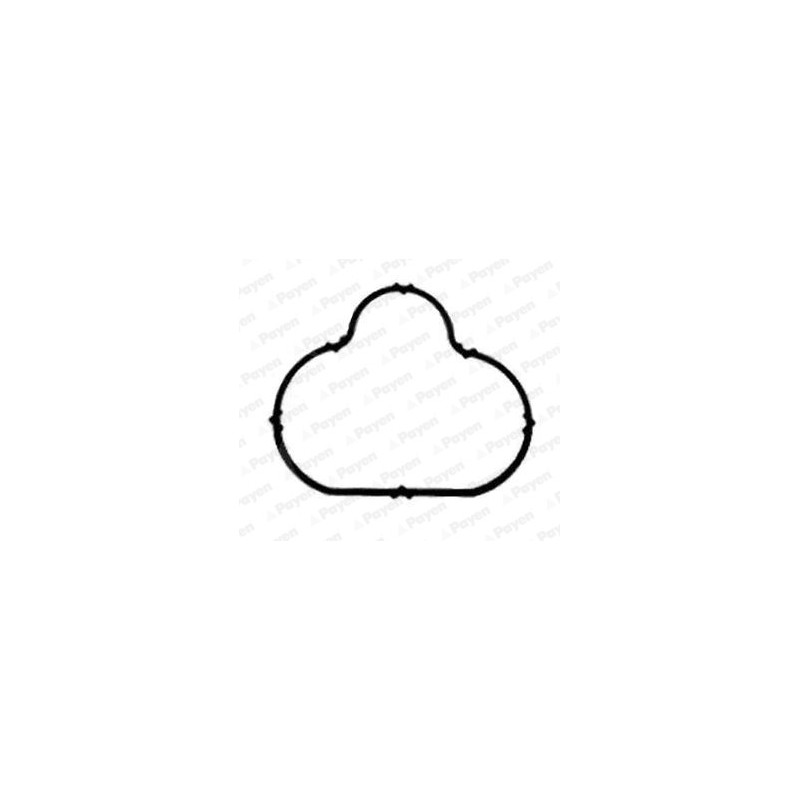 Joint d'étanchéité (collecteur d'admission) PAYEN