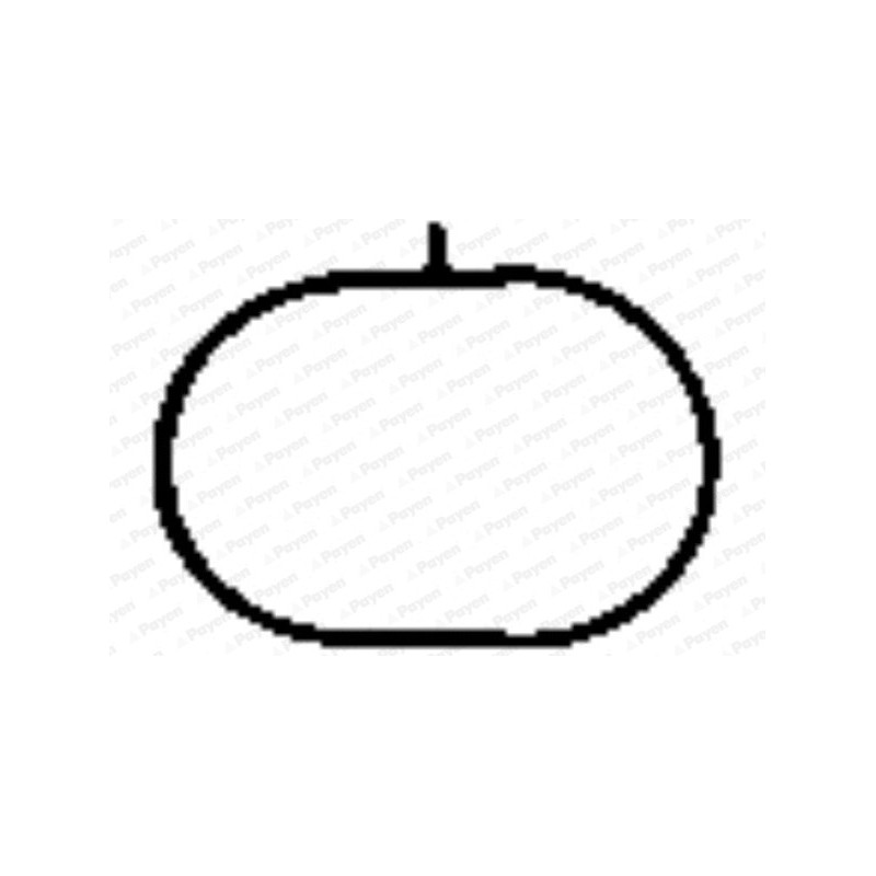 Joint d'étanchéité (collecteur d'admission) PAYEN