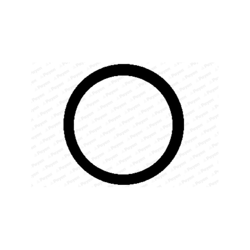 Joint d'étanchéité (collecteur d'admission) PAYEN