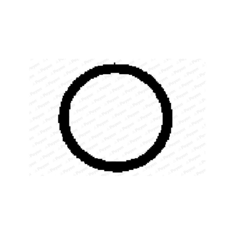 Joint d'étanchéité (collecteur d'admission) PAYEN