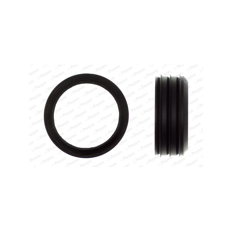 Joint de carter de collecteur d'admission PAYEN