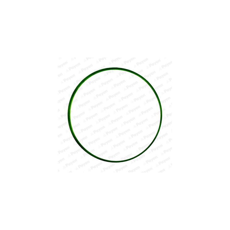 Joint d'étanchéité (collecteur d'admission) PAYEN