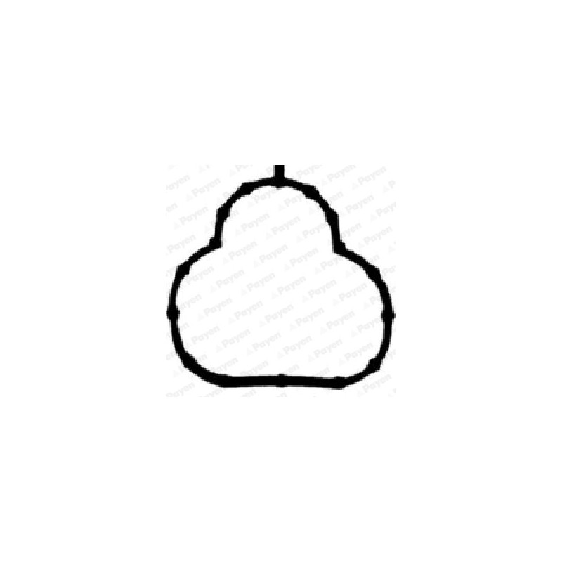 Joint d'étanchéité (collecteur d'admission) PAYEN