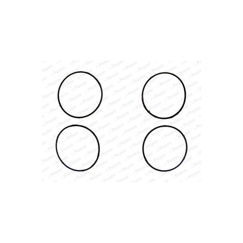 Joint d'étanchéité (collecteur d'admission) PAYEN