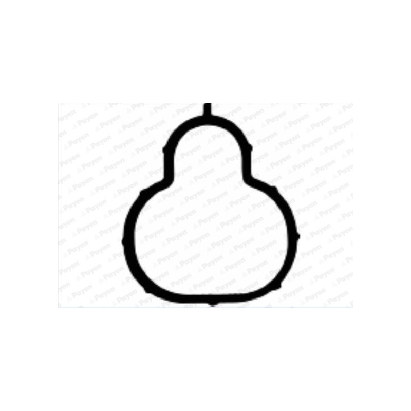 Joint d'étanchéité (collecteur d'admission) PAYEN