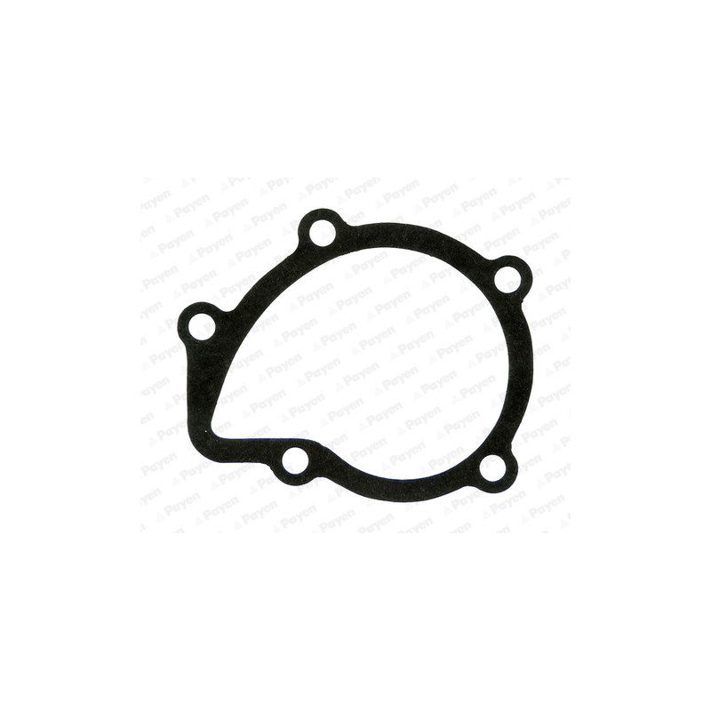 Joint d'étanchéité (pompe à eau) PAYEN