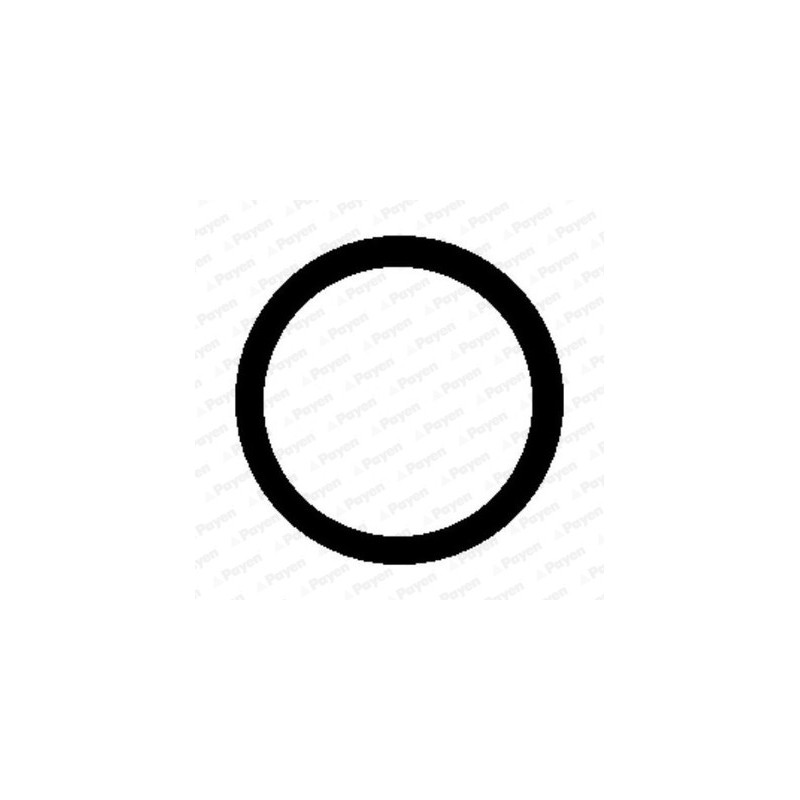 Joint d'étanchéité (collecteur d'admission) PAYEN