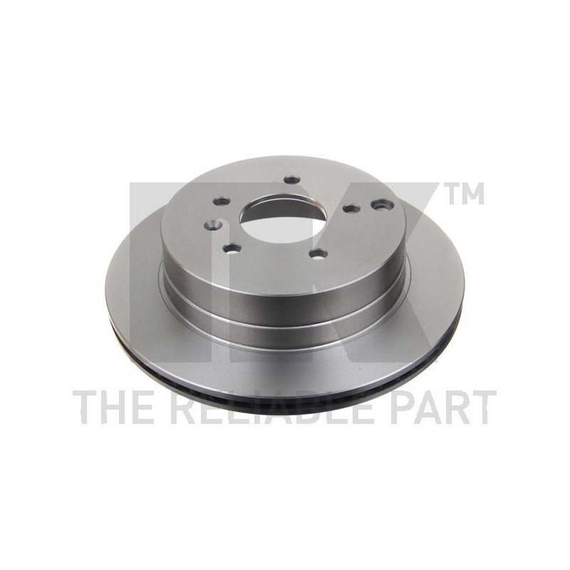 Jeu de 2 disques de frein NK