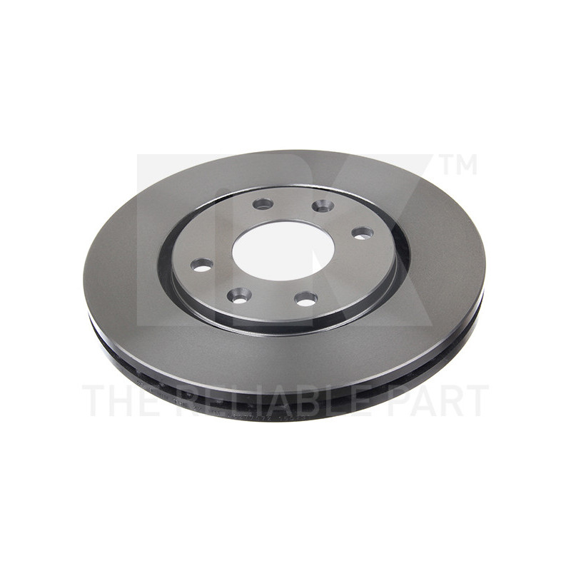 Jeu de 2 disques de frein NK