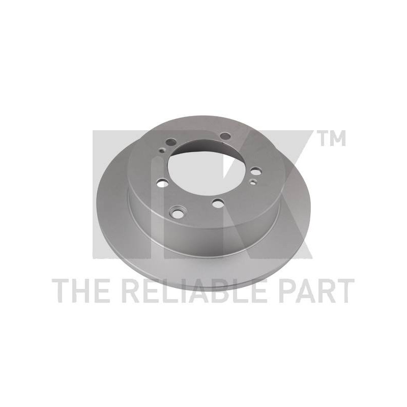 Jeu de 2 disques de frein NK