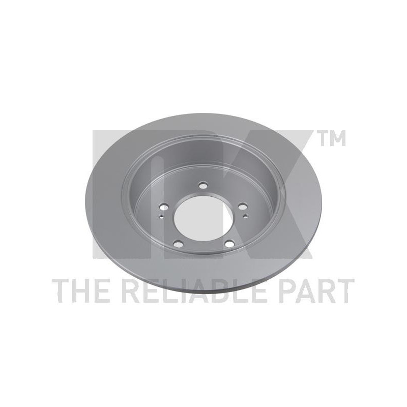 Jeu de 2 disques de frein NK