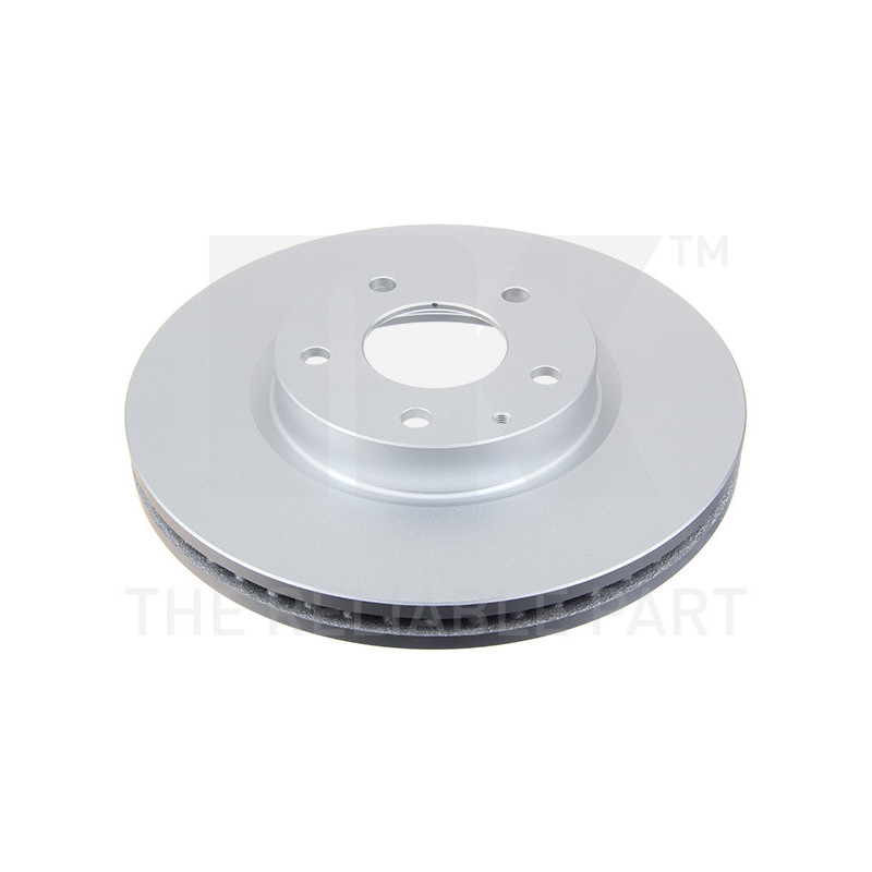 Jeu de 2 disques de frein NK