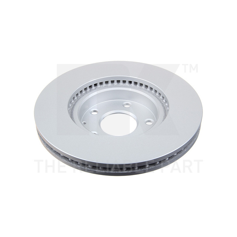 Jeu de 2 disques de frein NK