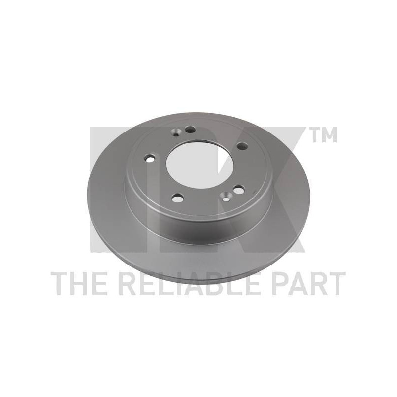 Jeu de 2 disques de frein NK