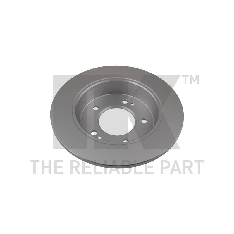 Jeu de 2 disques de frein NK