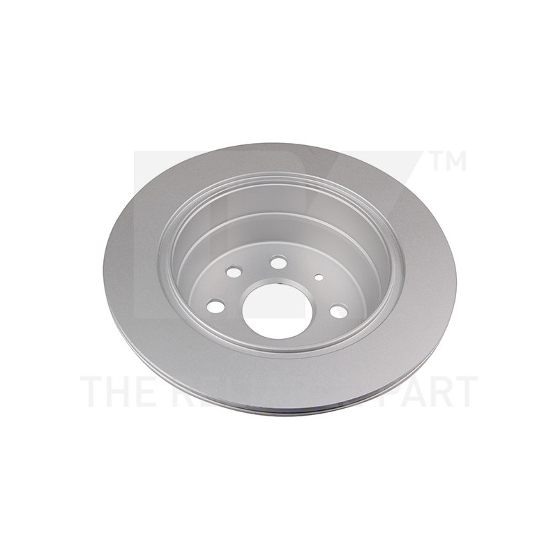 Jeu de 2 disques de frein NK