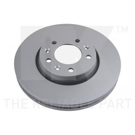 Jeu de 2 disques de frein NK