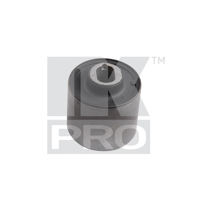 Silent bloc de triangle de suspension NK