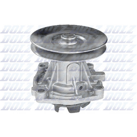 Pompe à eau DOLZ