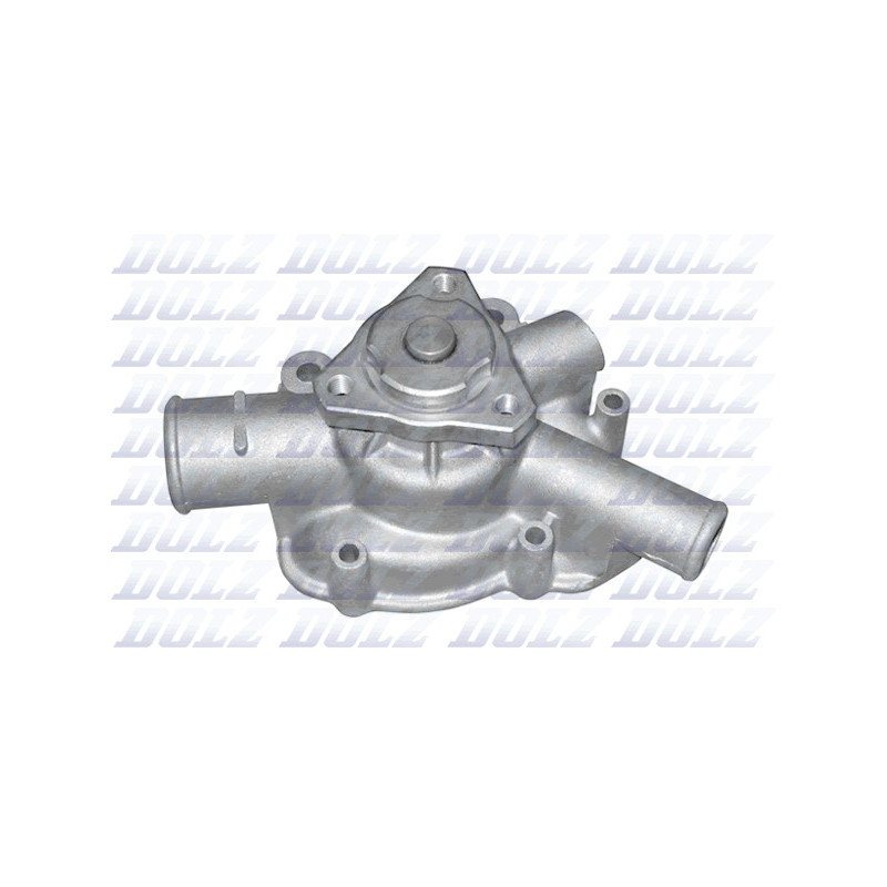 Pompe à eau DOLZ