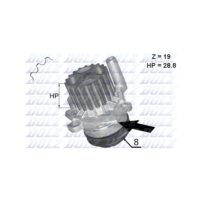 Pompe à eau DOLZ